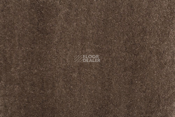 Ковролин Balta ITC Vensent 41 фото 1 | FLOORDEALER